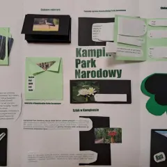 Lapbook o Kampinoskim Parku Narodowym: ciekawe zwierzęta, bagna, szlaki i mapa.