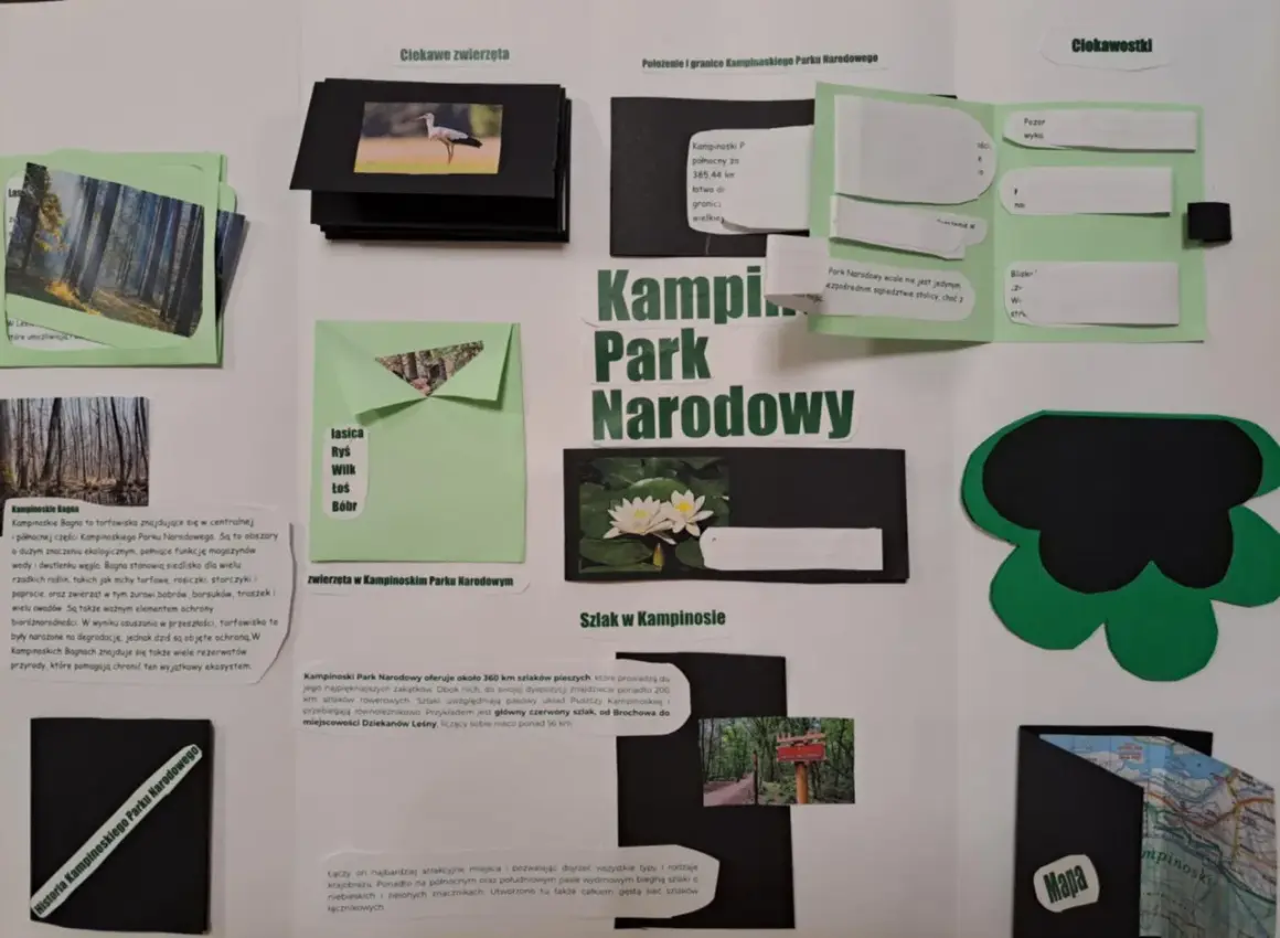 Lapbook o Kampinoskim Parku Narodowym: ciekawe zwierzęta, bagna, szlaki i mapa.